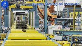 Conveyor Systems Canada  Automated Storage Retrieval System ASRS Industrial Automation amp Robotics [upl. by Jase]