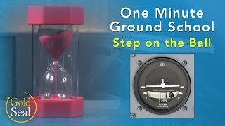 Coordinated Flight  One Minute Ground School [upl. by Orlosky540]