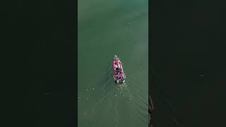 Barsch Attacken via Drone Shot attack barsch dji fishing [upl. by Harimas]