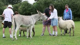 Youth Cancer Trust at the farm in Dewlish 2024 [upl. by Yelsnik]