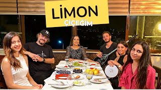 Aylin Demir  Limon Çiçeğim [upl. by Alesig]