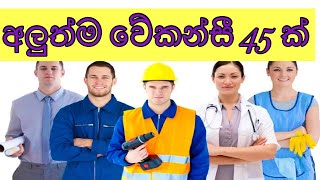 job vacancy 2024job vacancies Job guide sri lanka job interview jobs at homegoverment jobs [upl. by Bonnice730]