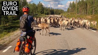 I Found Ryan Van Duzer in the Swedish forest and joined him on a bikepacking adventure [upl. by Ahsirhcal]