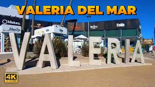 SOL PLAYA y RELAX en la Encantadora VALERIA DEL MAR 4K🔸VERANO 2024 [upl. by Aralc]