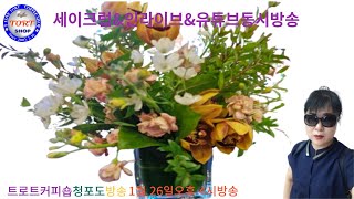 제104회1월26일금요일트로트커피숍부국청포도🌹구독좋아요👍알림설정🔔 [upl. by Gerg]