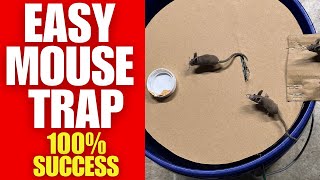 Easy DIY Mouse Trap  Simple Homemade Design  100 Effective [upl. by Ailenroc]