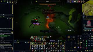 Essence of Finality  Dark Bow Spec Test 12 Araxxor [upl. by Ganiats]