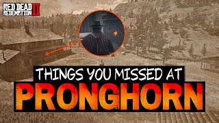 Things you MISSED at PRONGHORN RANCH in Red Dead Redemption 2 [upl. by Sherr191]