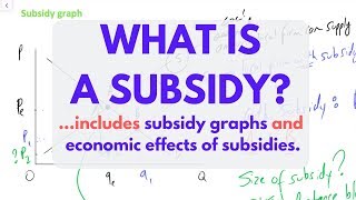 What is a SUBSIDY Subsidies EXPLAINED [upl. by Ziza]