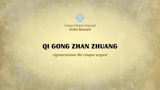 QI GONG ZHAN ZHUANG [upl. by Aniratak]