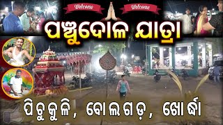 Panchu Dola Jatra  Pichukuli Panchu Dola  Bolagarh Khordha Odisha  Dola purnima Dola Jatra Video [upl. by Nerissa]