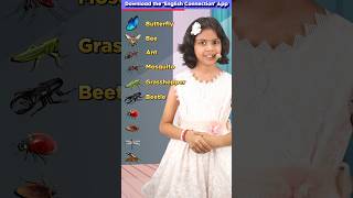 Learn Insect🦋 Names in English English Speaking Words Spoken English Connection shorts [upl. by Clayberg]