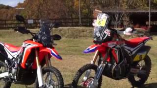 2017 Honda CRF250 RALLY WEBミスター・バイク [upl. by Ozne]