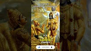 Bhagavad Gita Chapter 11 116 [upl. by Grindle604]