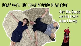 Video Chicken Live The Hemp Bedding Challenge Us vs Them  HempGate [upl. by Blackburn]