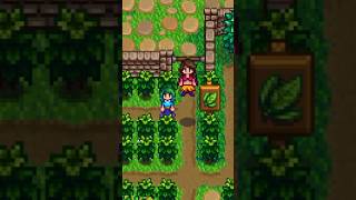 Sem dúvidas O MELHOR NPC de Stardew Valley 🍀 [upl. by Claudine447]