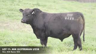 LOT 11 MILLAH MURRAH ULSTERMAN U228 [upl. by Nolla363]