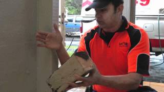 Schedorhinotermes Termites Altriset Treatment  Sydney Pest Control [upl. by Harvison967]