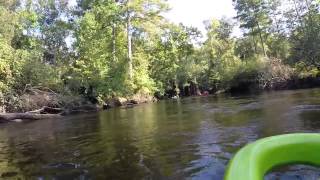 Nottoway River Kayak Courtland Virginia [upl. by Salohci]