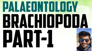 Geology palaeontology lecture series brachiopoda [upl. by Azral848]