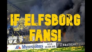 IF ELFSBORG FANS  BEST MOMENTS SWEDEN [upl. by Tearle]