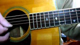 Takamine Elite TW30 Japan Vintage [upl. by Madlin]