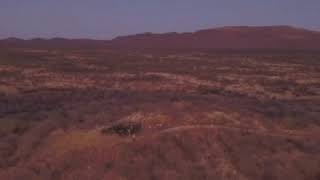 Tracking in Namibia with Ray Mears [upl. by Mattias]