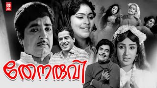 Thenaruvi  1973  Malayalam Full Movie  Prem Nazir  Sathyan  Vijayasree  Malayalam Old Movies [upl. by Hindu]