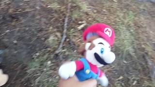 Marios time machine part 2 [upl. by Natloz]