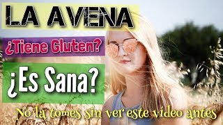 😲 AVENA ▶︎ ¿ES SALUDABLE COMER AVENA 🤔  ¿TIENE GLUTEN LA AVENA 😱 [upl. by Bovill614]