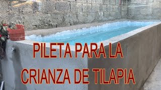 Pileta para la crianza de tilapia [upl. by Nnylrahc982]