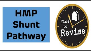 HMP Shunt Pathway Quick And Rapid Revision  Biochemistry Rapid Revision Series [upl. by Enisaj324]