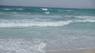 Formentera beach near Ibiza island [upl. by Aspia]