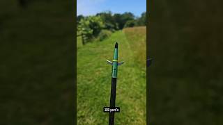 Swhacker Broadhead Test archery bowhunting hunting bowandarrow 3darchery deerhunting hunt [upl. by Marie-Jeanne428]