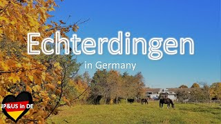 【Echterdingenドイツ】🇩🇪Walking in Echterdingen Germany  Autumn in Germany  Germany Vlog [upl. by Afrika]