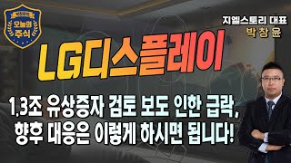 LG디스플레이 13조원 규모 유상증자 검토 보도 인한 급락 향후 전망과 대응 전략 점검  박창윤 대표  주식  주가  투자 [upl. by Gerfen]