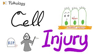 Introduction to Pathology  Cell Injury  A New Pathology Series [upl. by Annaitsirk]