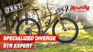 Test Gravel Specialized Diverge STR 2023 [upl. by Annaehr]