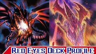 Red Eyes Deck Profile with Invasion of Vengeance Support [upl. by Gustav955]