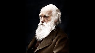 CHARLES DARWIN vs ALFRED RUSSEL WALLACE Año 1809 Pasajes de la historia La rosa de los vientos [upl. by Lindner475]