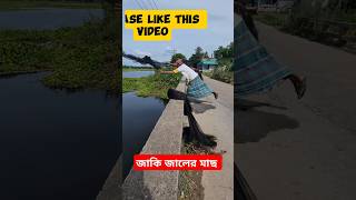 যাকে জাল দিয়ে মাছ ধরামাছfish fishing [upl. by Melbourne]