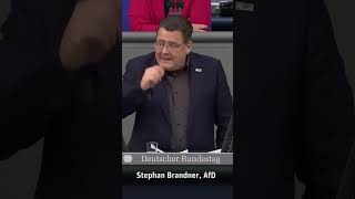 Ratten finanzieren Rattenloch Schloss Bellevue  Stephan Brandner AFD Bundestag shorts [upl. by Mylo73]