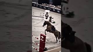 horse horseplay horsesports equestrian horseshow horseracing edit [upl. by Jay]