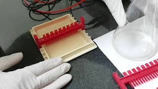 Performing Agarose Gel Electrophoresis  Edvotek Video Tutorial [upl. by Klingel]