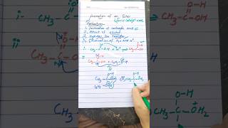 Mechanism of formation of ester organic chemistry class 12 [upl. by Ultun512]