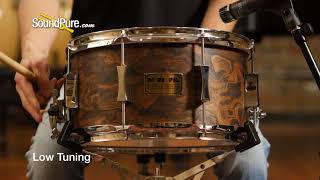 Pork Pie 7x13 Maple Snare Drum Walnut Roots Veneer Quick n Dirty [upl. by Bergeron]