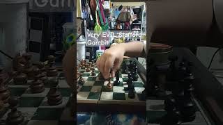 Stafford Gambit chess magnuscarlsen [upl. by Aneloj593]