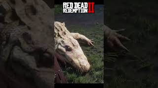 rdr2 rdr260fps rdrgameplay gaming arthurmorgan reddeadredemption [upl. by Nylecyoj]