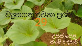 Structured Essay 29  Agricultural Science for Advance Level Examination Sinhala medium [upl. by Pudens]