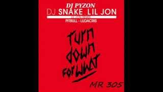 DJ SNAKE ft LIL JON amp PITBULL amp LUDACRIS quot Turn Down For What quot  dj pyzon remix [upl. by Crowe518]